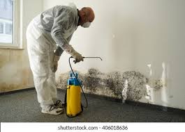 Professional Mold Remediation in Fleming Island, FL